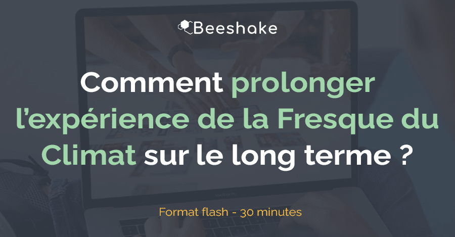 Webinaire : comment prolonger la Fresque du Climat sur le long terme ?