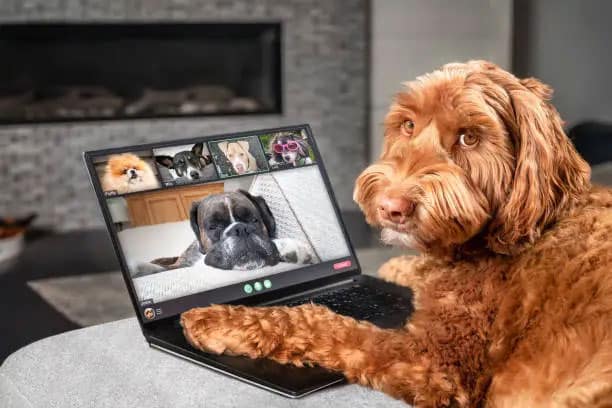 Exemples d'irritants en entreprise : Des réunions inutiles ou mal préparées