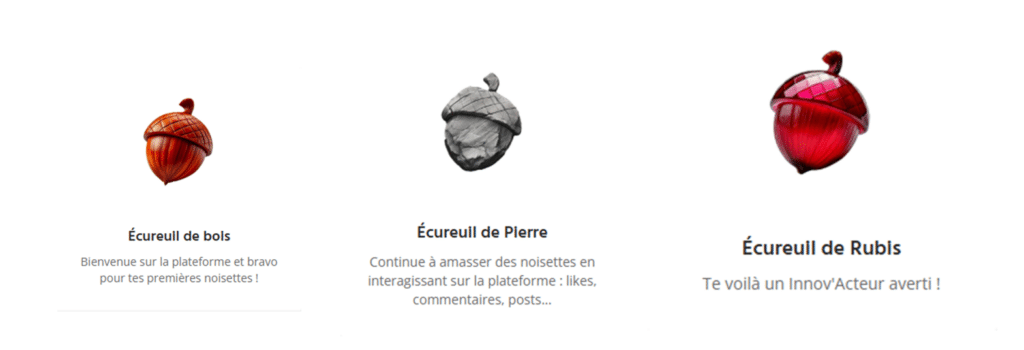 Badges écureuil CEAPC