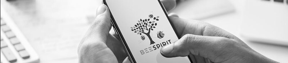 The Beespirit collaborative platform